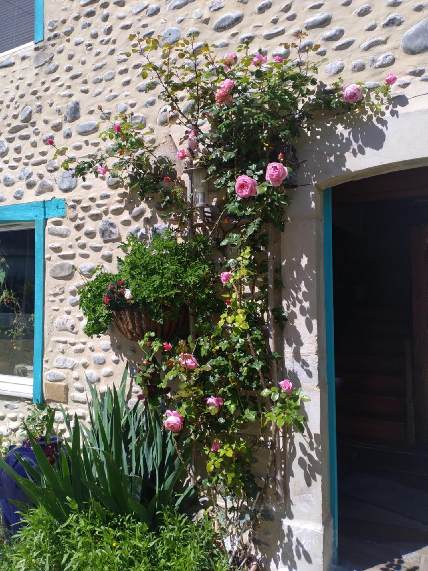 Maison Mignaquy Charritte-de-Bas Exterior foto